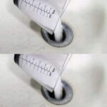 Frangipanier : une merveille en intérieur