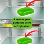 L’astuce pour dégivrer un congélateur en quelques minutes sans efforts