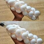 Pourquoi Vous Devez Faire Tremper le Poulet du Magasin dans de l’Eau Salée Dès Que Vous L’achetez