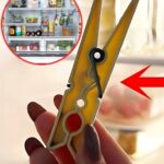 Pommes de terre à l’ail : le plat d’accompagnement parfait prêt en quelques minutes !