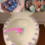 10 Conseils Qui M’ont Aidé à Apprendre à Cuisiner Rapidement