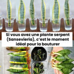 Un entraînement de 4 minutes qui équivaut à une heure à la salle de sport