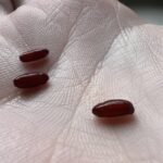 Gâteau italien à étages avec glaçage à la crème et au chocolat