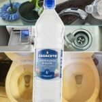 🥝✨ Tartelettes Kiwi-Citron Éblouissantes