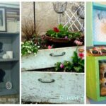 GUMMIES EXOTIQUES SANS SUCRE AJOUTÉ