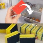 Pouvez-vous trouver le chat sur l’image ?