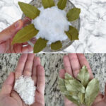 De Quoi Est Fait le Paprika ? Le Secret Derrière Cette Épice Incontournable