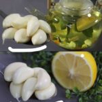 Objet mystérieux trouvé dans une vieille maison… Des idées ?