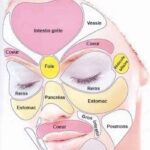 si vous ne consommez pas suffisamment de ces aliments, votre peau risque de perdre son élasticité et de développer des rides
