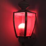 Elle mettait du laurier dans du sel… Je croyais que c’était une vieille habitude inutile. Jusqu’à ce que je découvre à quoi ça servait !