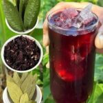 Je n’ai pas été malade depuis 35 ans, ma vision est claire, mon esprit est vif et ma tension artérielle est normale : grâce au gingembre !