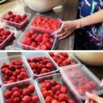 Débarrassez-vous des fourmis avec cette méthode bio : elles ne reviendront jamais