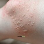 La vérité sur la partie bleue de la gomme : ce n’est PAS pour effacer le stylo