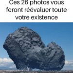 Plantes Médicinales : Découvrez le Pouvoir Naturel des Herbes pour une Santé Optimale