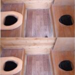 Those Aren’t Cameras! Here’s the Wild Truth Behind Them