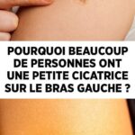 Salades simples et délicieuses à partir de 3 ingrédients