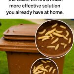 La meilleure boisson brûle-graisses qui brûlera rapidement la graisse du ventre