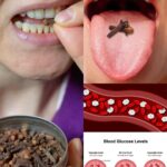 Attention : Risque d’addiction, génoise au fromage blanc prête à cuire en 5 minutes