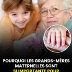 Endives au Jambon Gratinées : La Recette Traditionnelle et Gourmande