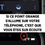 L’Importance Cruciale des Grands-Mères Maternelles dans la Vie des Enfants