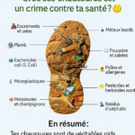 🍰 Gâteau Nuage au Yaourt Légèrement Moelleux