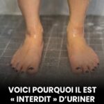 BOMBE naturelle pour nettoyer le foie et les vaisseaux sanguins : 3 vieilles recettes oubliées !