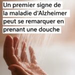 Choux de Bruxelles Rôtis : La Recette Parfaite pour un Accompagnement Savoureux